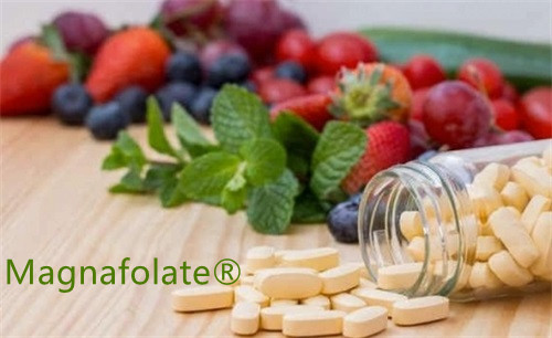 غذاهای سرشار از فولات | Magnafolate