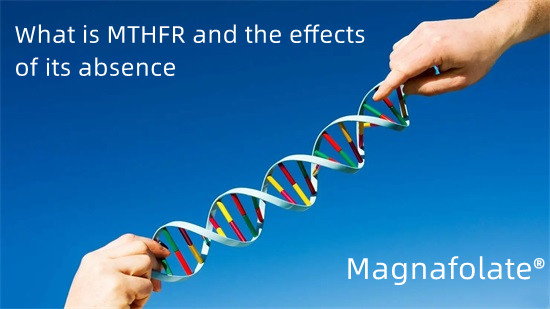 MTHFR چیست و اثرات فقدان آن