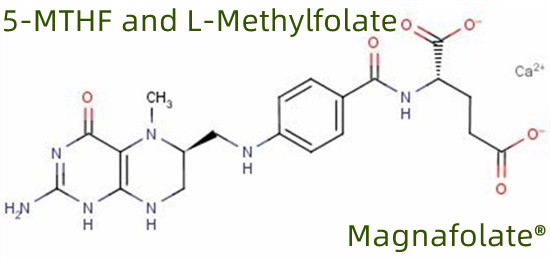 5-MTHF و L-متیل فولات