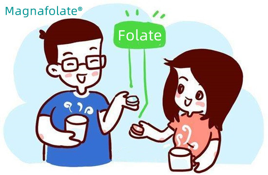 چه مقدار فولات نیاز دارم؟