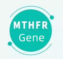 اگر ژن MTHFR داشته باشید به چه معناست؟