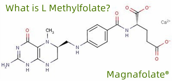 L-methylfolate 151533-22-1 خلوص بالا 99% 1000 گرم در کیسه