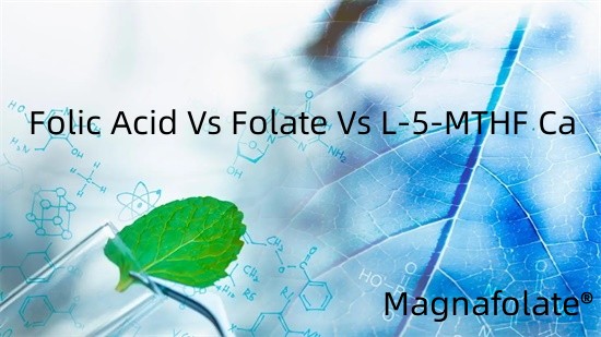 اسید فولیک در مقابل فولات در مقابل L-5-MTHF Ca