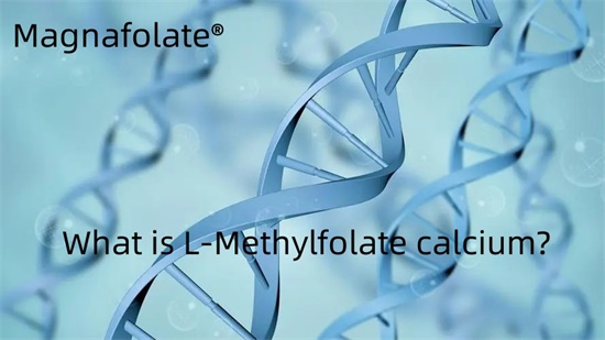 L-Methylfolate کلسیم چیست؟