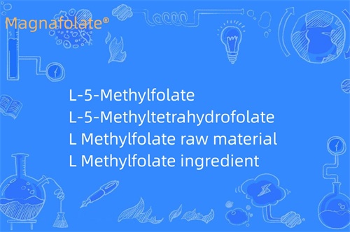 ال متیل فولات چه می کند؟