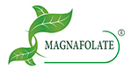 Magnafolate® VS اسید فولیک