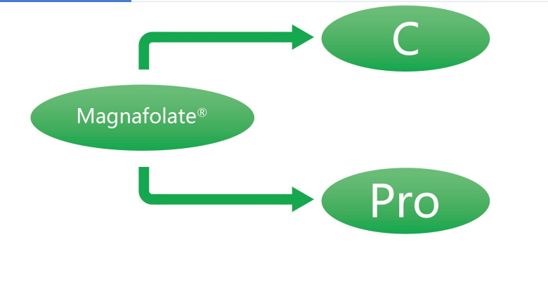Magnafolate C و Pro-L-Methylfolate کلسیم