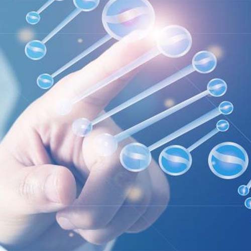 کلسیم 6S-5-متیل تتراهیدروفولات--مگنافولات
