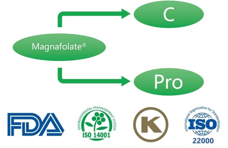 کلسیم L-5-methyltetrahydrofolate چیست؟ تامین کنندگان چیست؟