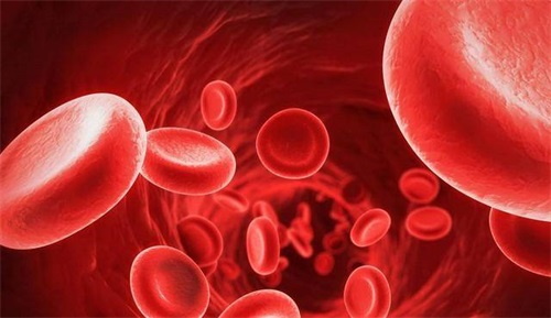 اختلال متابولیسم فولات، چه کنیم؟