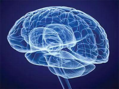 فولات از سیستم عصبی محافظت می کند و از زوال عقل و پارکینسون جلوگیری می کند